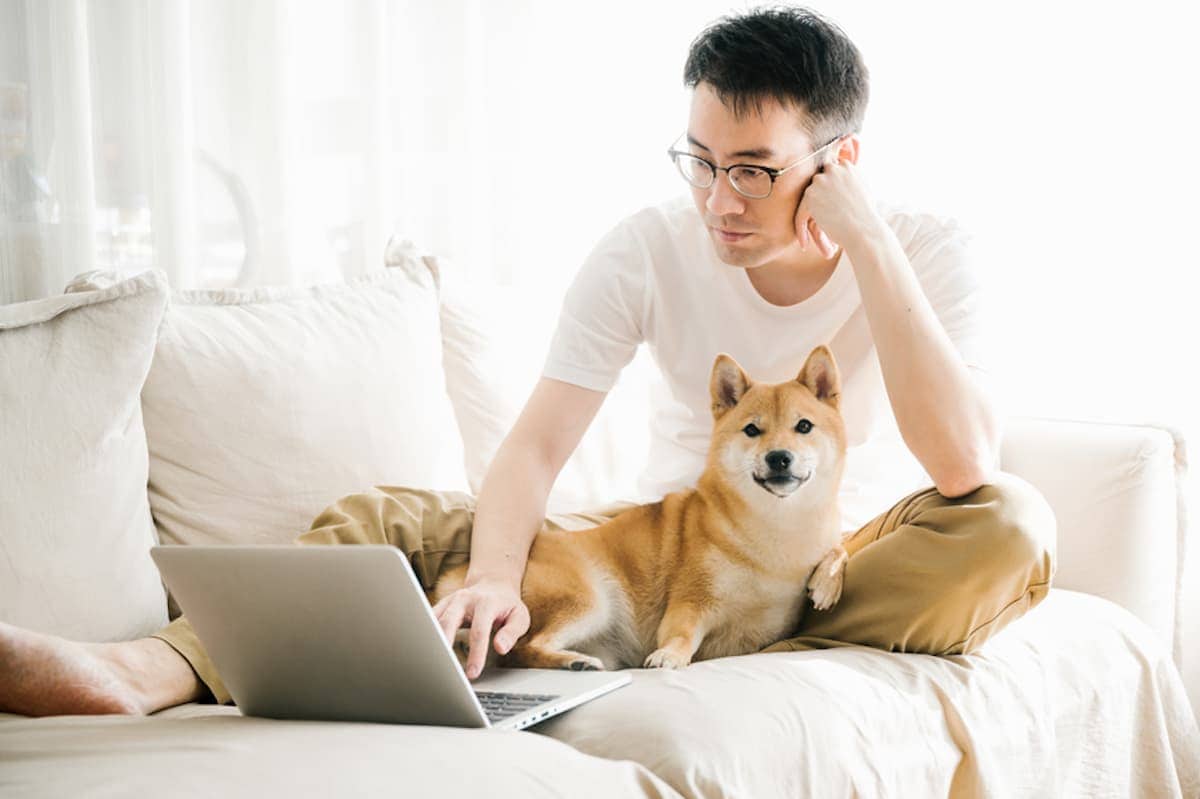Man working from home with dog in his lap